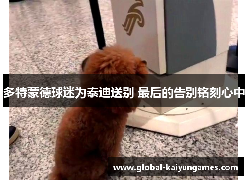 多特蒙德球迷为泰迪送别 最后的告别铭刻心中