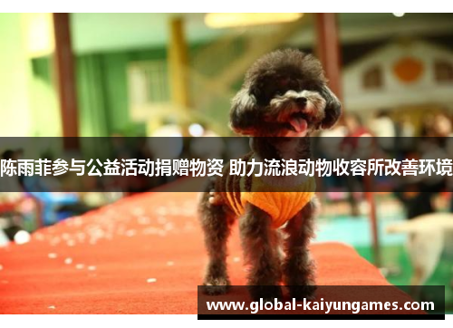 陈雨菲参与公益活动捐赠物资 助力流浪动物收容所改善环境